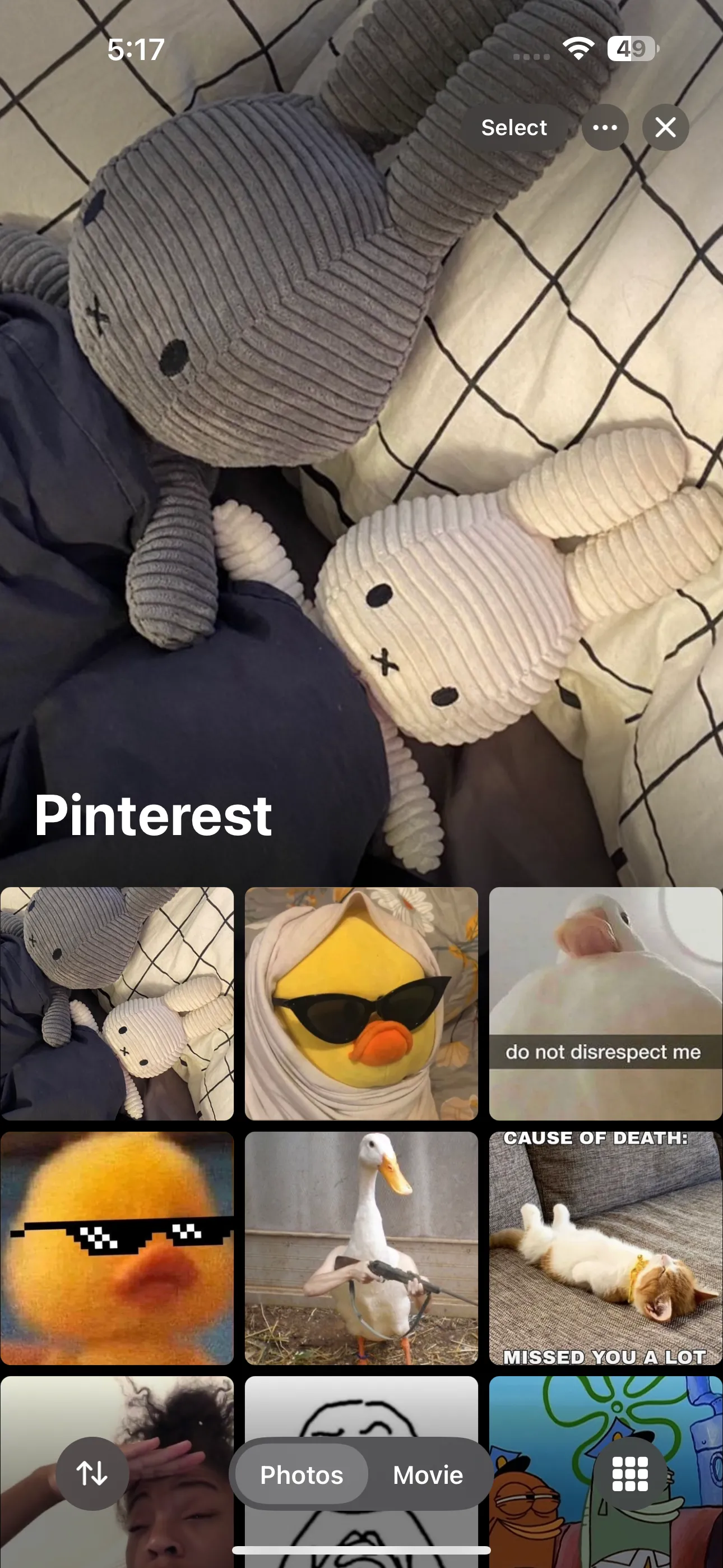 Album có tiêu đề &quot;Pinterest&quot; trong ứng dụng Ảnh của iOS