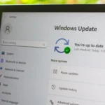 Ảnh chụp màn hình Windows Update trong Cài đặt Windows 11