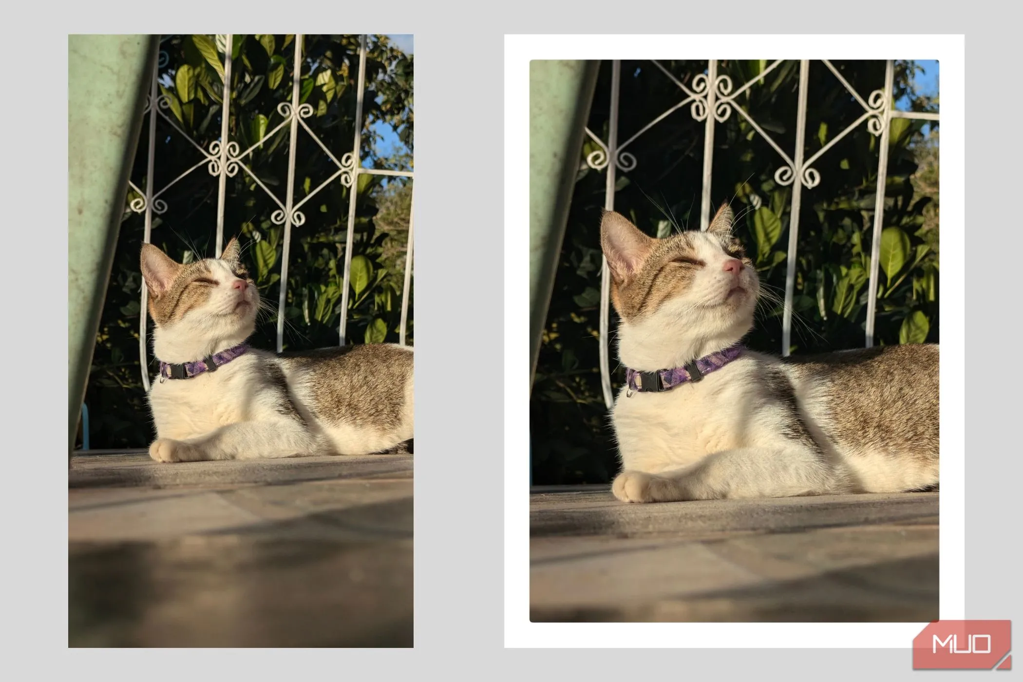 Ảnh được cắt tỉ lệ 4:3 và thêm viền trắng tạo phong cách Polaroid cổ điển