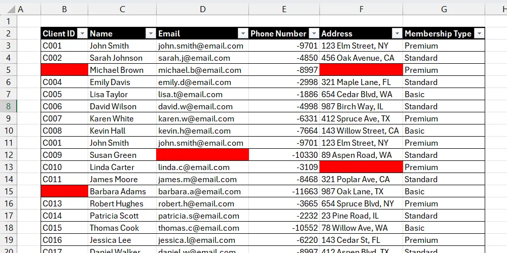 Bảng dữ liệu khách hàng Excel đã tô màu các ô trống giúp dễ nhận diện