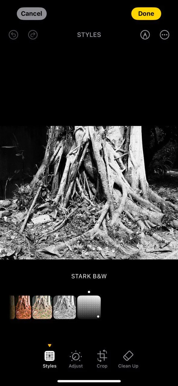 Bức ảnh đen trắng được chụp với Stark B&amp;W Photographic Style trên iPhone 16, tạo độ tương phản cao.