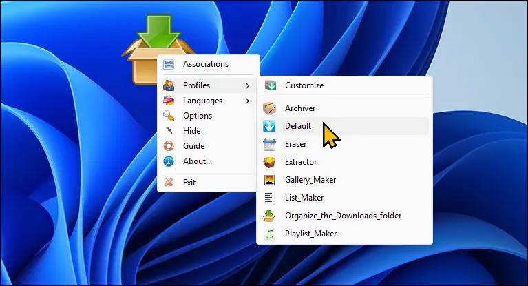Các tùy chọn của DropIt hiển thị trên màn hình desktop Windows 11, cho phép cấu hình quy tắc tổ chức file tự động.