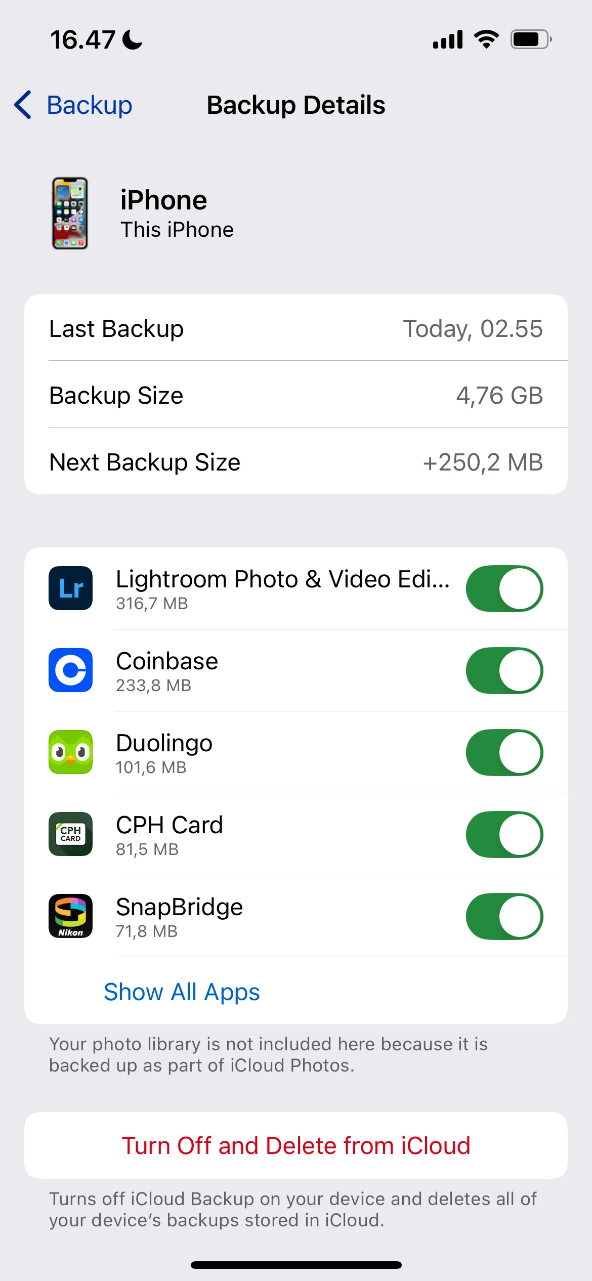 Chi tiết cài đặt sao lưu iCloud của ứng dụng trên iPhone.