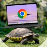 Con rùa cõng laptop Chromebook trên lưng