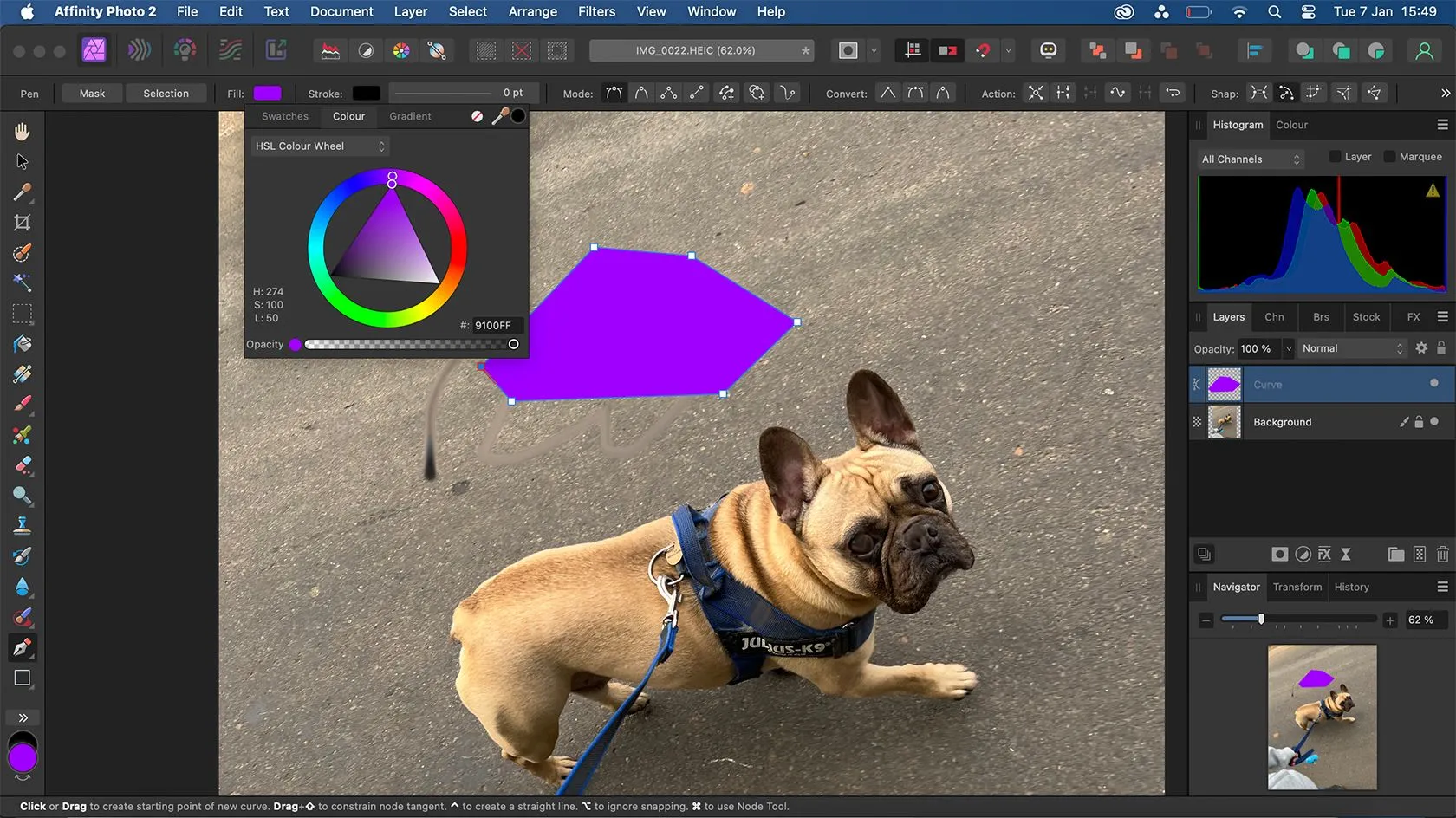 Công cụ Pen Tool và Shape Tool trong Affinity Photo