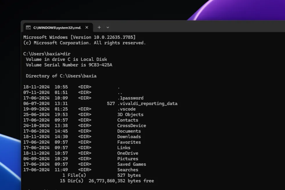 Cửa sổ Command Prompt trên Windows 11, hiển thị giao diện dòng lệnh cơ bản