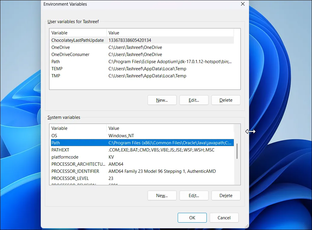 Cửa sổ Environment Variables hiển thị việc chỉnh sửa Path để thêm thư mục SDelete