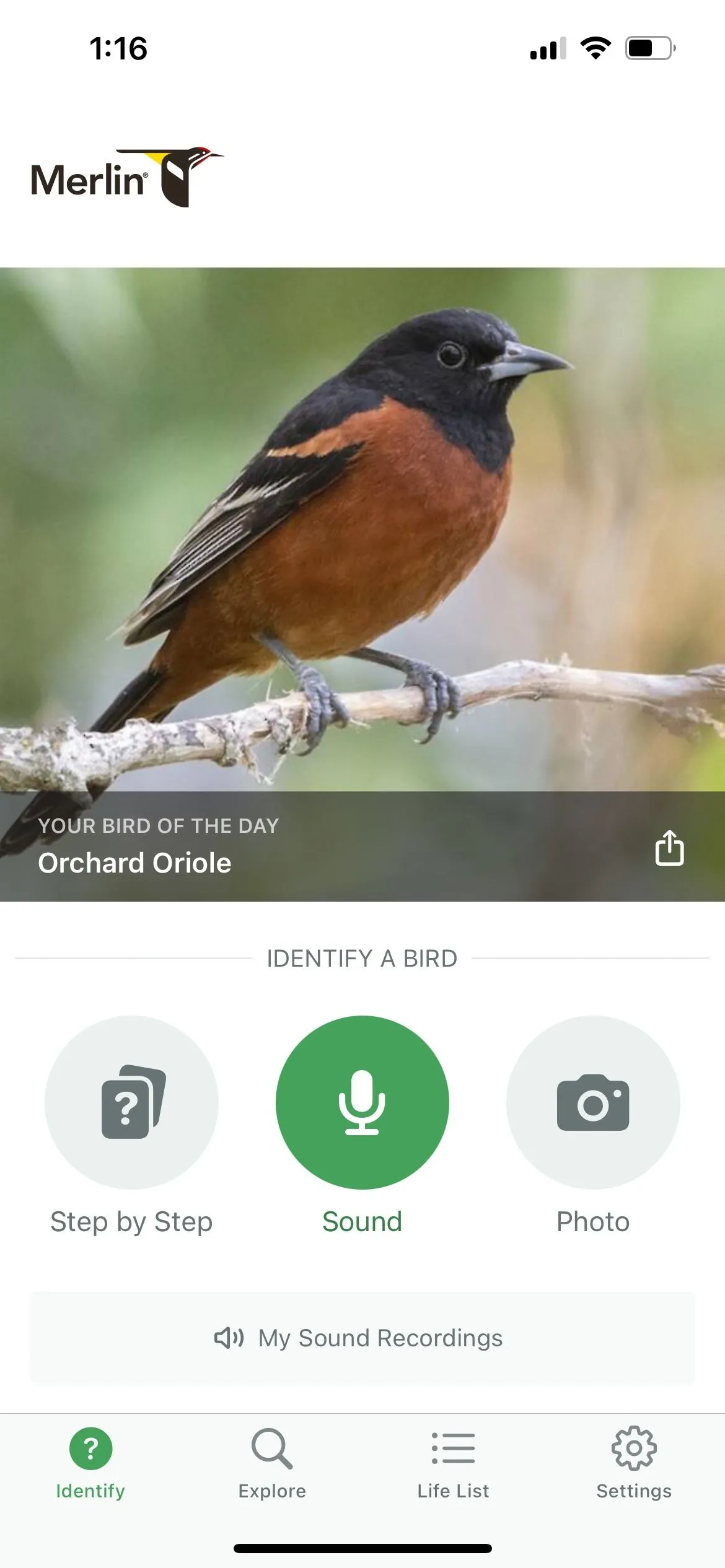 Giao diện chính của ứng dụng Merlin Bird ID hiển thị danh sách các loài chim được nhận diện qua âm thanh.