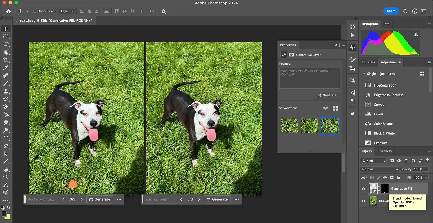 Giao diện công cụ Generative Fill AI trong Adobe Photoshop.