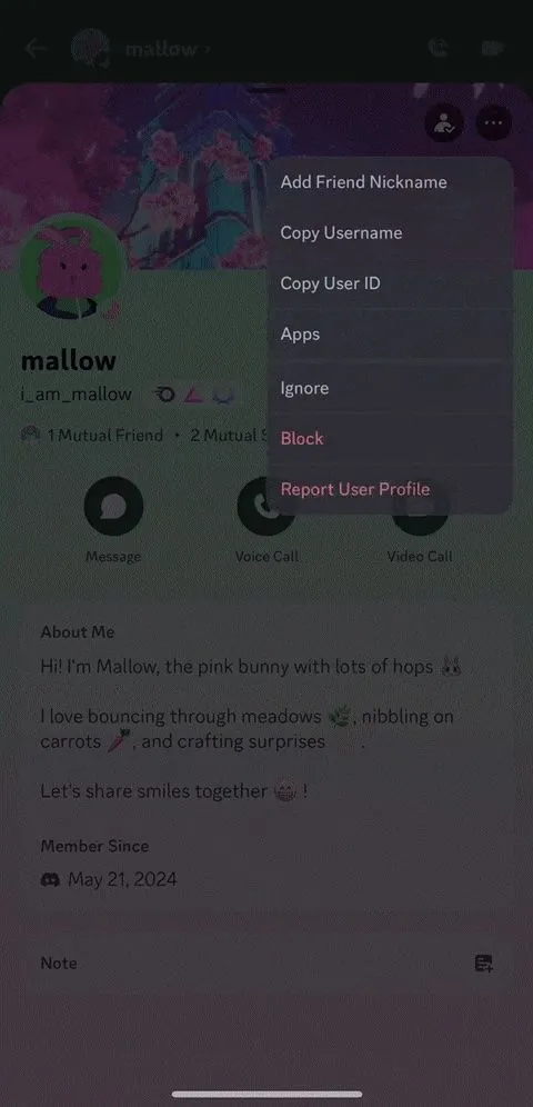Giao diện Discord hiển thị tùy chọn Bỏ qua trên menu ba chấm của hồ sơ người dùng
