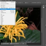 Giao diện mở bộ lọc Camera Raw trong Photoshop