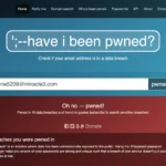 Giao diện trang web Have I Been Pwned hiển thị kết quả kiểm tra địa chỉ email bị rò rỉ dữ liệu