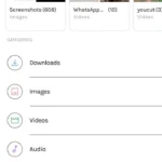 Giao diện ứng dụng Files Go hiển thị tính năng chia sẻ tập tin qua mạng nội bộ