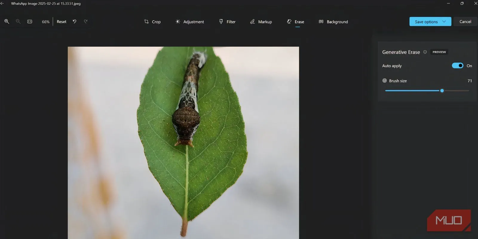 Kiểm tra tính năng Generative Erase của ứng dụng Photos trên hình ảnh lá cây có côn trùng