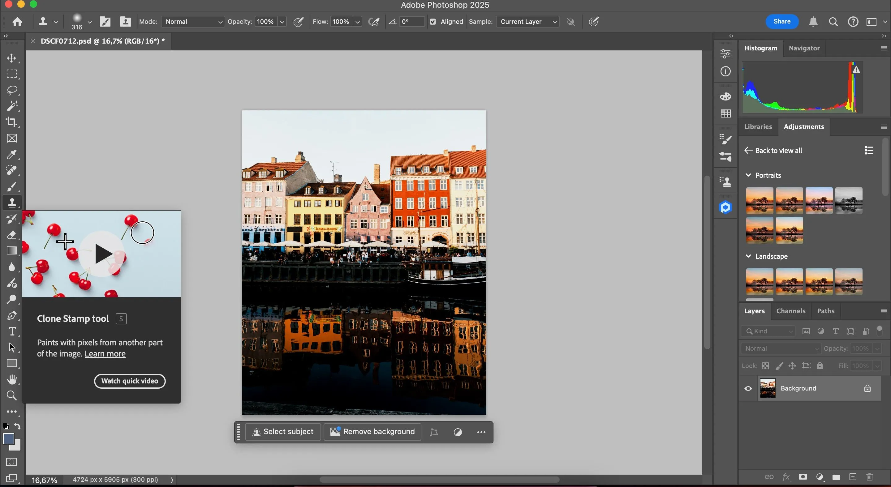 Màn hình Adobe Lightroom hiển thị cách sử dụng công cụ Clone Stamp để sao chép một phần của bức ảnh sang vị trí khác