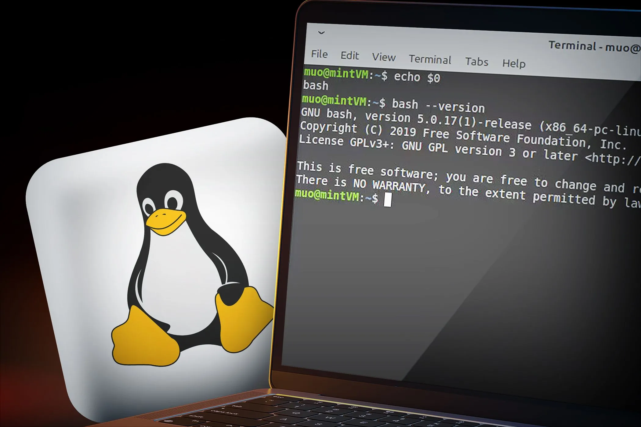 Màn hình laptop hiển thị cửa sổ dòng lệnh với mã nguồn và logo Linux ở hậu cảnh, nhấn mạnh tính bảo mật.