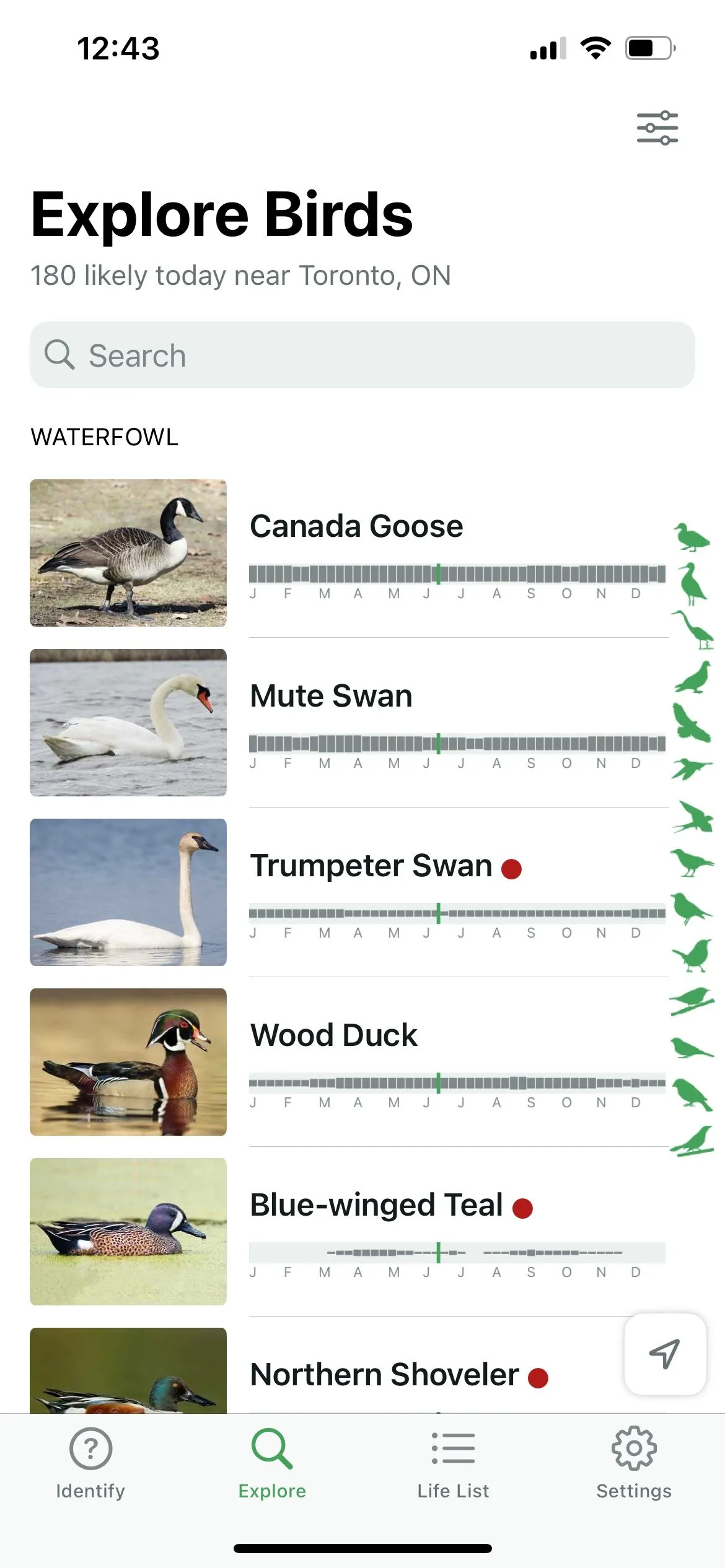 Màn hình Merlin Bird ID hiển thị phân tích phổ âm thanh của tiếng chim, giúp người dùng dễ dàng nhận biết.