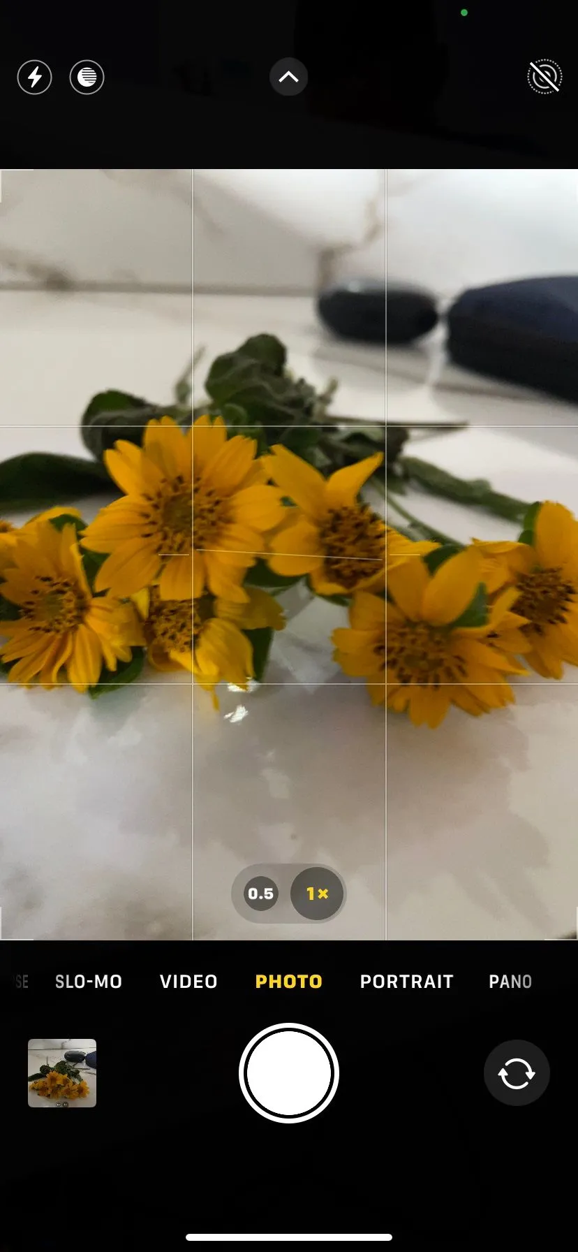 Màn hình ứng dụng camera iPhone hiển thị lưới bố cục và đường chân trời, giúp căn chỉnh ảnh điện thoại.
