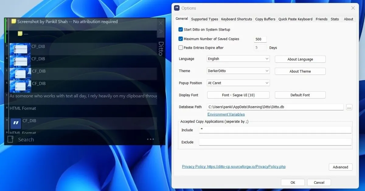 Menu tùy chọn của Ditto cho phép tùy chỉnh giao diện clipboard với các theme và cài đặt nâng cao