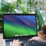 Một người phụ nữ đang gõ bàn phím trên máy tính MacBook Air chạy macOS Sonoma