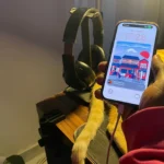 Người dùng đang sử dụng iPhone khi cắm sạc