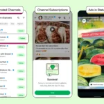 Quảng cáo xuất hiện trong mục Trạng thái của WhatsApp