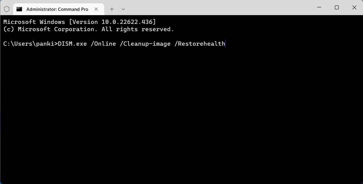 Quét DISM trên Windows