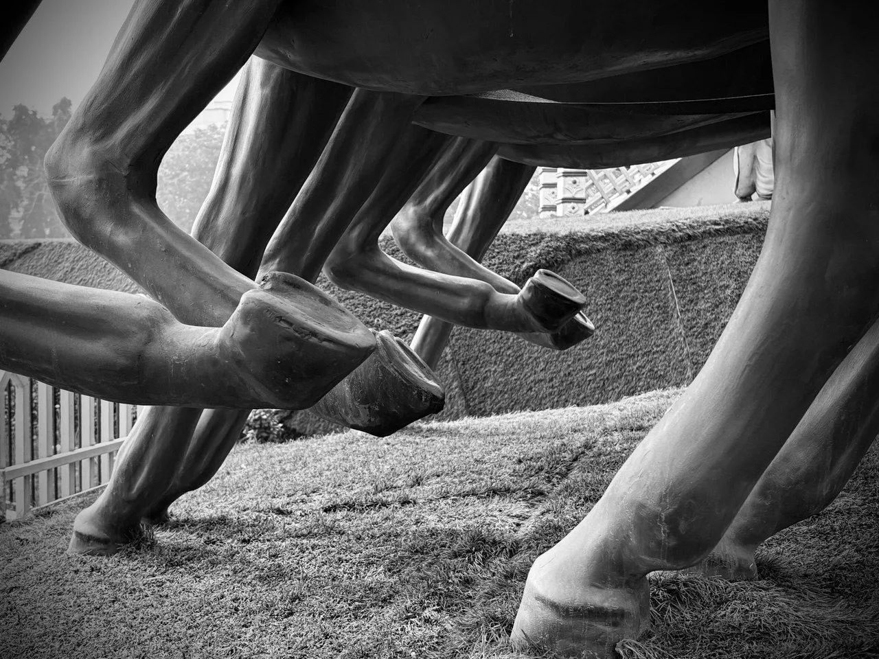Tác giả áp dụng Photographic Style Stark B&amp;W để chụp ảnh đường phố bằng iPhone 16.
