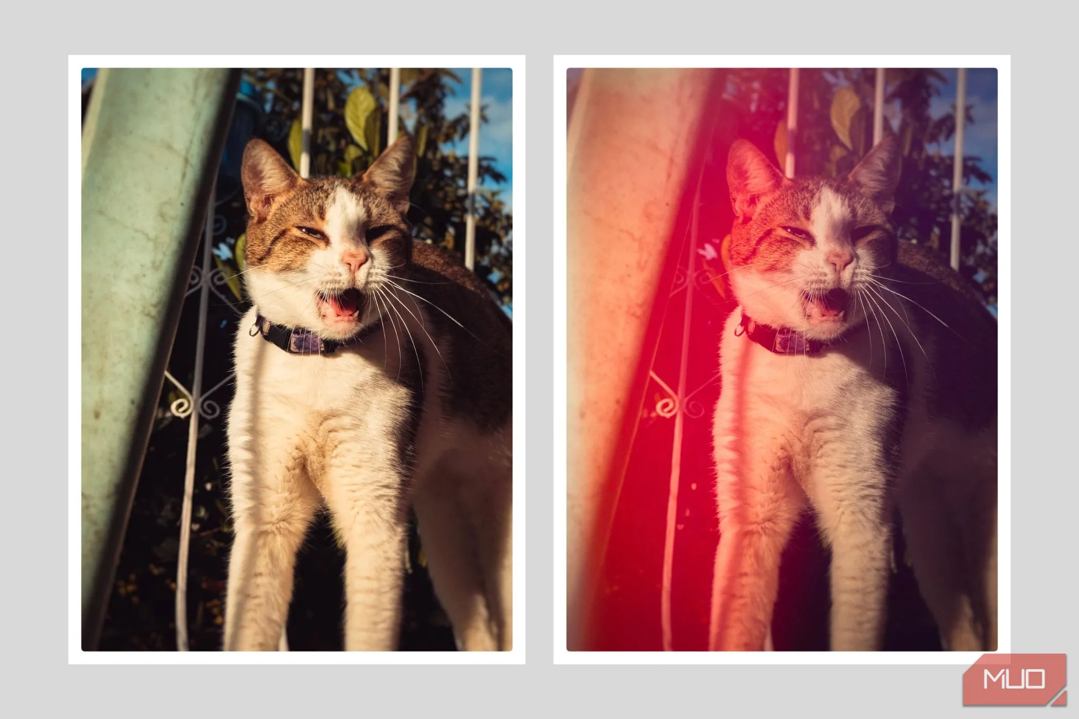 Thêm hiệu ứng rò sáng (light leak) và làm tối viền (vignette) vào ảnh điện thoại