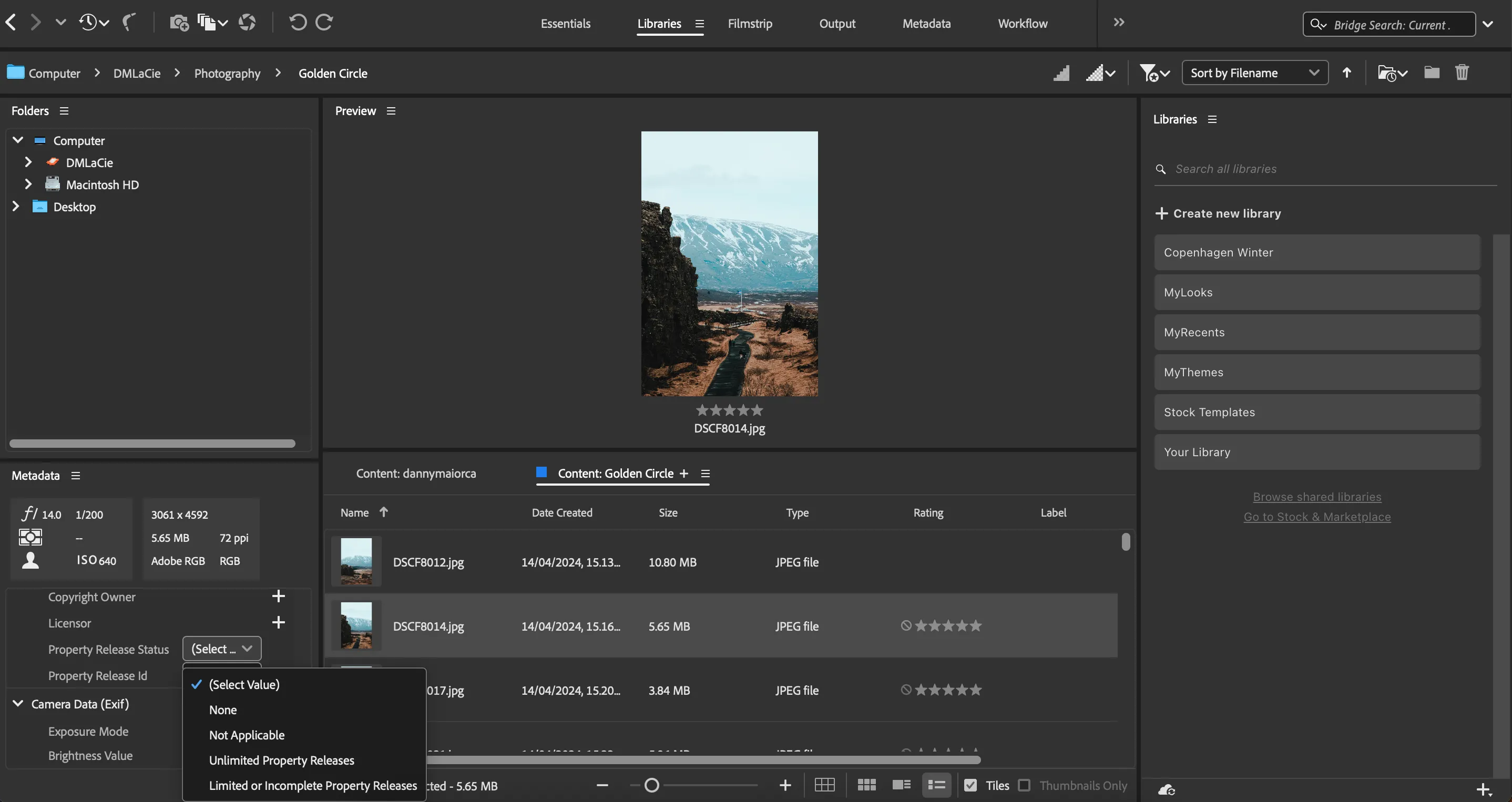 Thêm thông tin ID tài sản (Property ID) và bản quyền trong Adobe Bridge