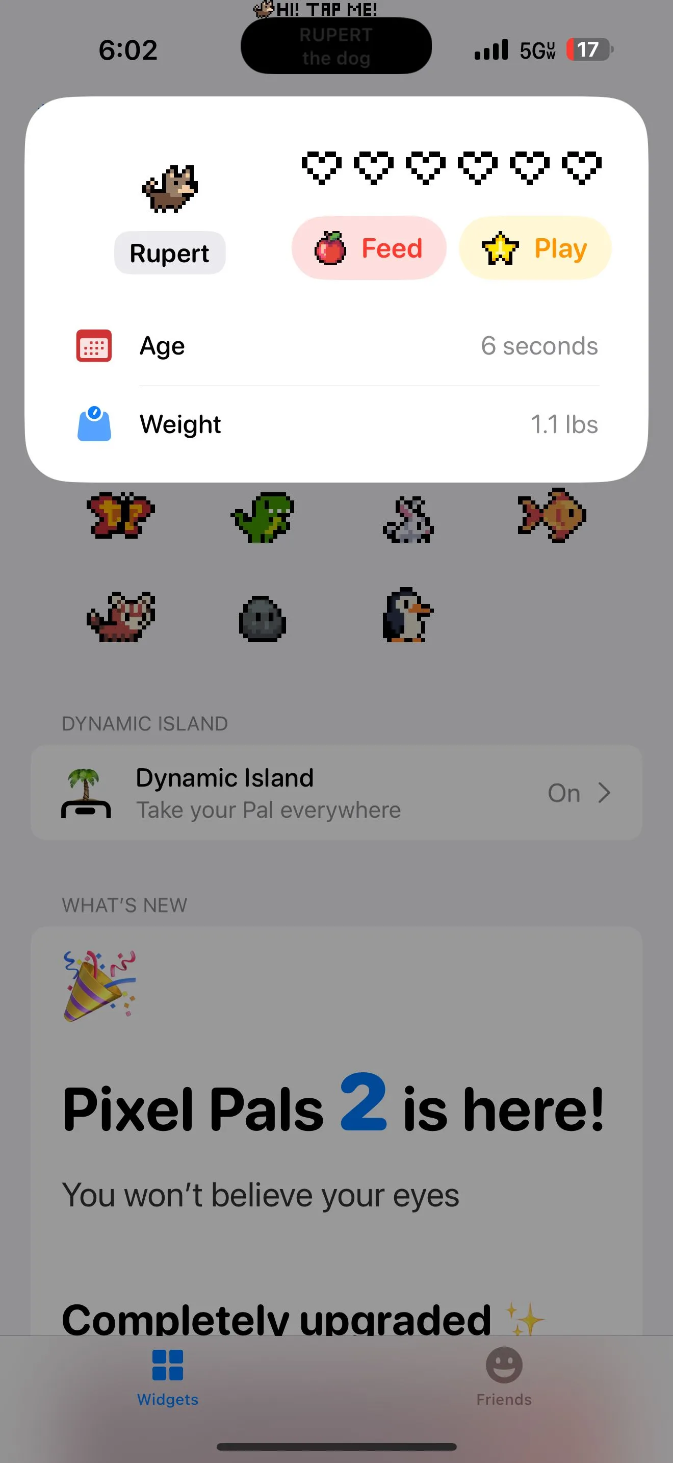 Thú cưng Pixel Pals hiển thị thông tin chú chó trên Dynamic Island.