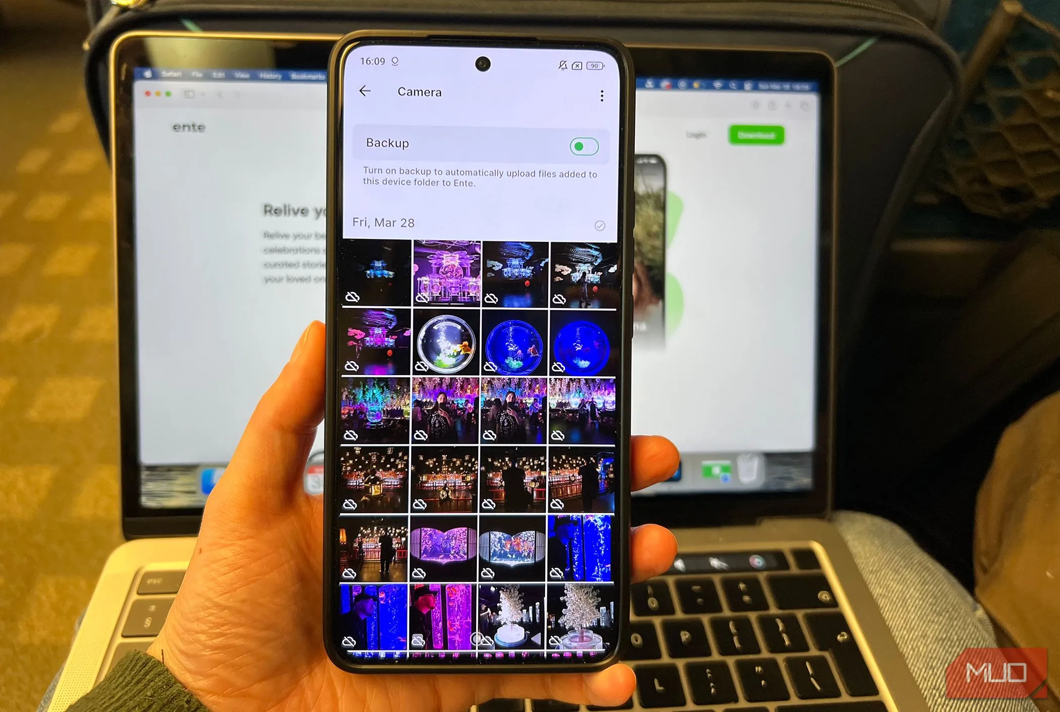 Thư viện ảnh trên Ente Photos đang sẵn sàng sao lưu, minh họa khả năng bảo vệ và phục hồi dữ liệu hình ảnh quan trọng.