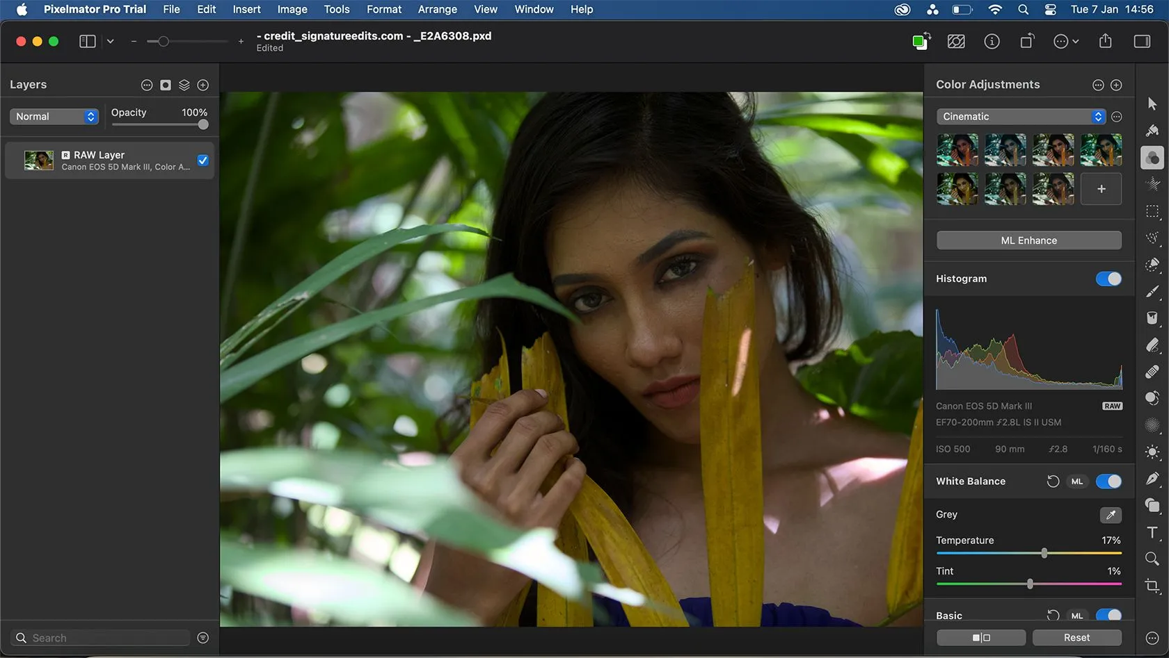 Tính năng chỉnh sửa ảnh RAW tích hợp của Pixelmator Pro