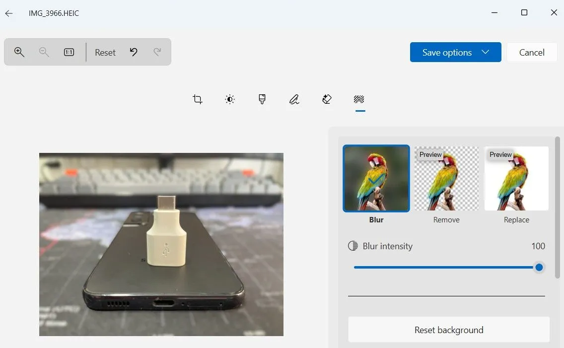 Tính năng xóa nền trong ứng dụng Ảnh Windows 11