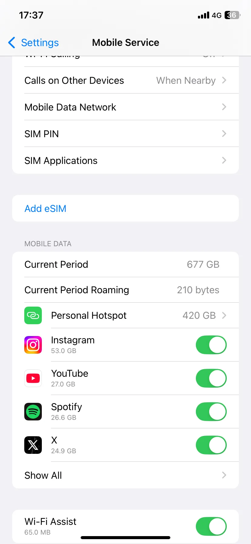 Trang cài đặt Dịch vụ di động (Mobile Service) trên iPhone